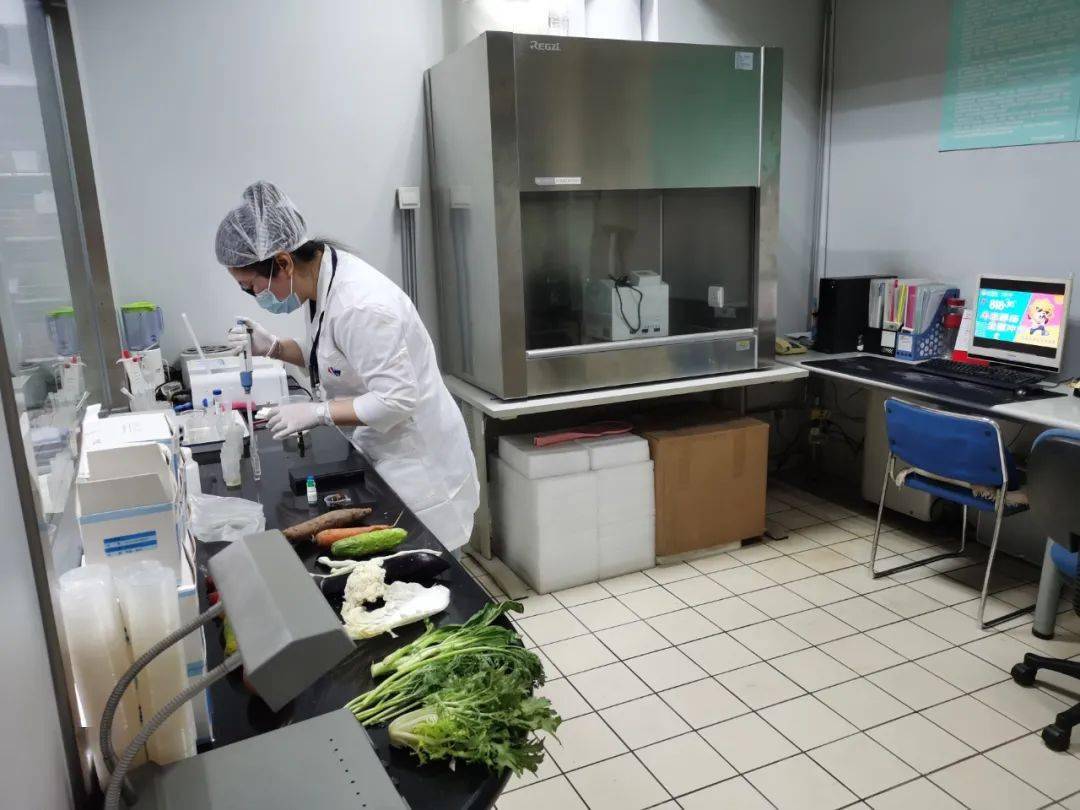 阜沙镇食品检测实验室装修方案